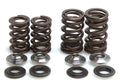 KIBBLEWHITE VALVE SPRING KIT .440" LIFT - Honda TRX450R